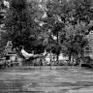 Meet your Posher, David r.